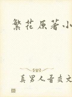 繁花原著小说