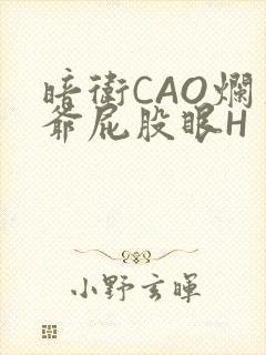 暗卫CAO烂王爷屁股眼H