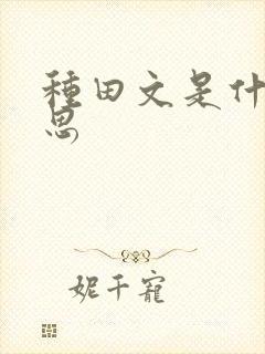 种田文是什么意思