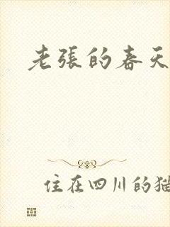 老张的春天封面