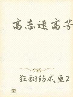 高志远高芳
