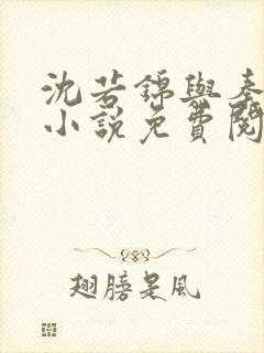 沈若锦与秦琅的小说免费阅读