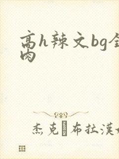 高h辣文bg全肉