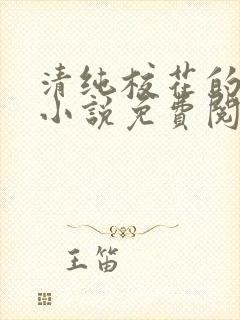 清纯校花的秘密小说免费阅读封面