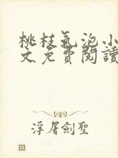 桃枝气泡小说全文免费阅读封面