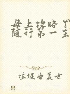 母上攻略 竹影随行第一主板