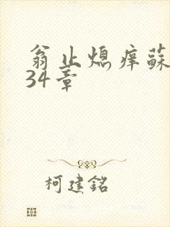 翁止熄痒苏钥第34章封面