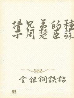 借兄弟的种生孩子周楚臣苏糖