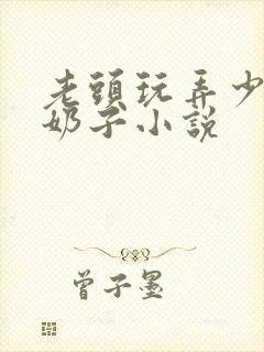 老头玩弄少妇的奶子小说