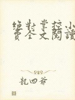 绝对掌控小说免费全文阅读笔趣阁