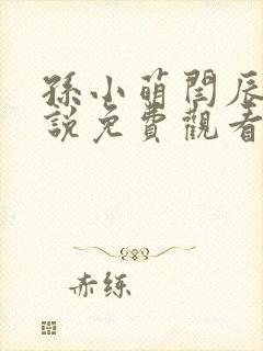 孙小萌闫辰的小说免费观看封面