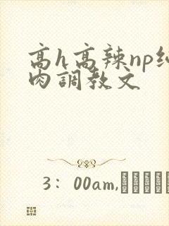 高h高辣np纯肉调教文封面