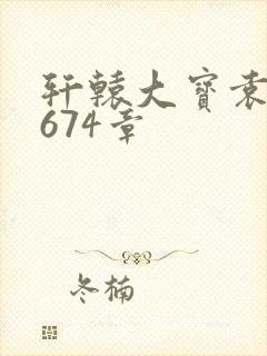 轩辕大宝袁雪妃674章