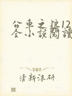 公车之狼12集全小说阅读