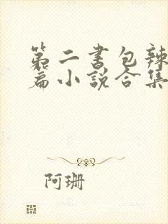 第二书包辣网短篇小说合集封面