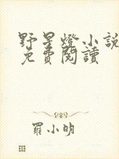 野星灯小说全文免费阅读