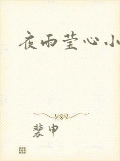 夜雨莹心小说