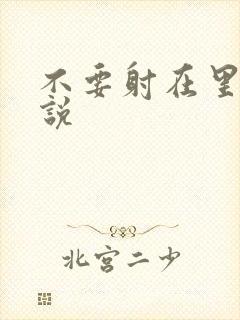 不要射在里面小说