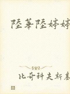 陆华陆婷婷封面