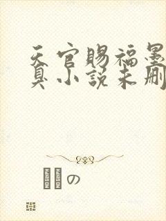 天官赐福墨香铜臭小说未删减在线看