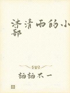 沐清雨的小说全部