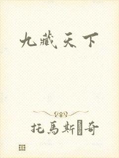 九藏天下封面