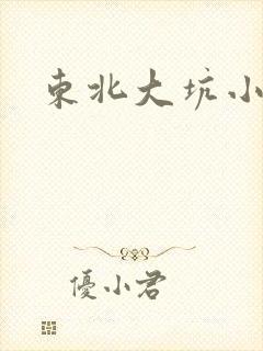 东北大坑小说