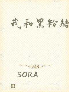 我和黑粉结婚了封面