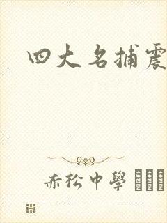 四大名捕震关东封面