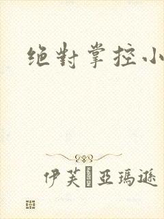 绝对掌控小说