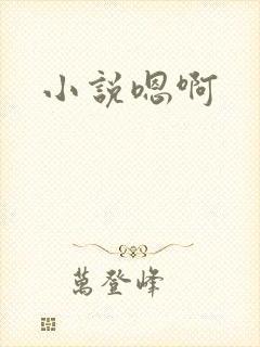 小说嗯啊