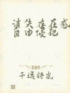 消失存在感消失自由侵犯