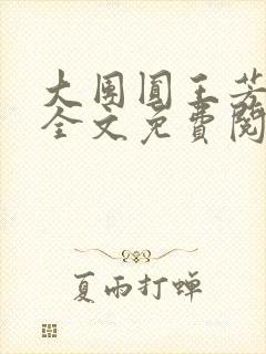 大团圆王芳高敏全文免费阅读封面