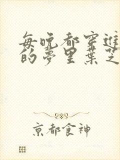 每晚都穿进男神的梦里叶芝琴小说