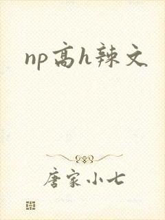 np高h辣文