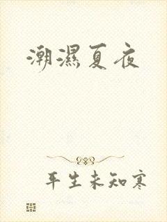 潮湿夏夜封面