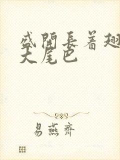 盛开长着翅膀的大尾巴封面