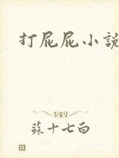 打屁屁小说
