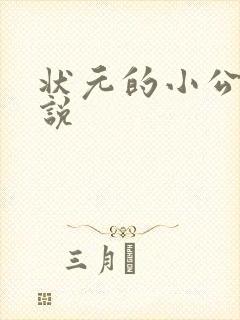 状元的小公主小说