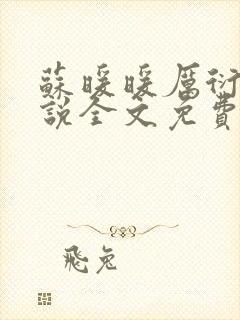 苏暖暖厉衍琛小说全文免费阅读封面