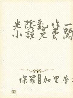 光阴乱作一团的小说免费阅读封面