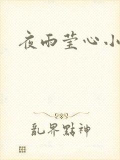 夜雨莹心小说