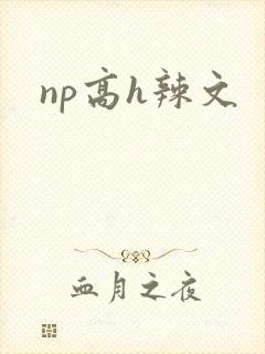np高h辣文