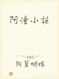 阿潼小说封面