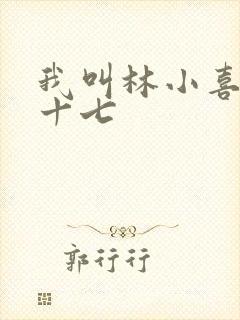 我叫林小喜今年十七