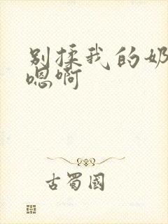 别揉我的奶头～嗯啊封面