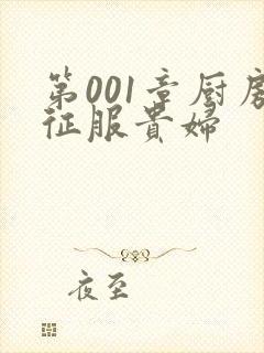 第001章厨房征服贵妇