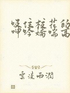 吸住校花的奶头呻吟娇喘高潮