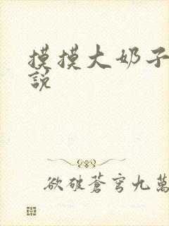 摸摸大奶子的小说