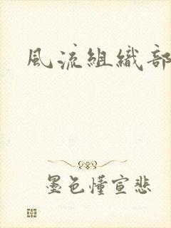 风流组织部长封面